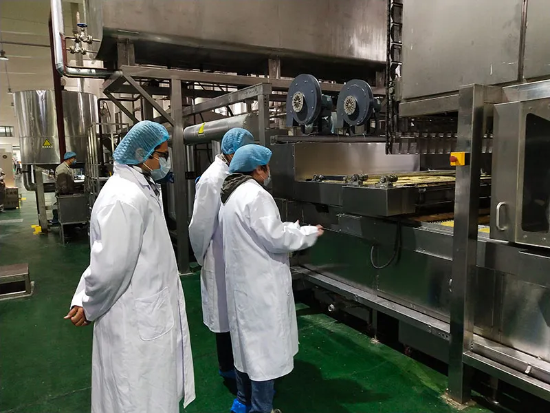 500 Fried Instant Noodle Production Line in India