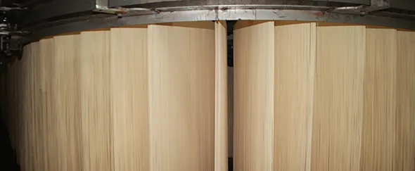 Stick Noodle Production Line in India