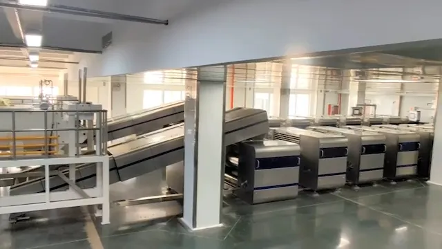 video of fried food manufacturing line