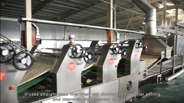 video of fried food manufacturing machinery